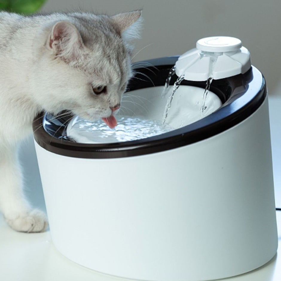 ZANRAI HydroFlow — Smart Hydration for Legendary Pets.